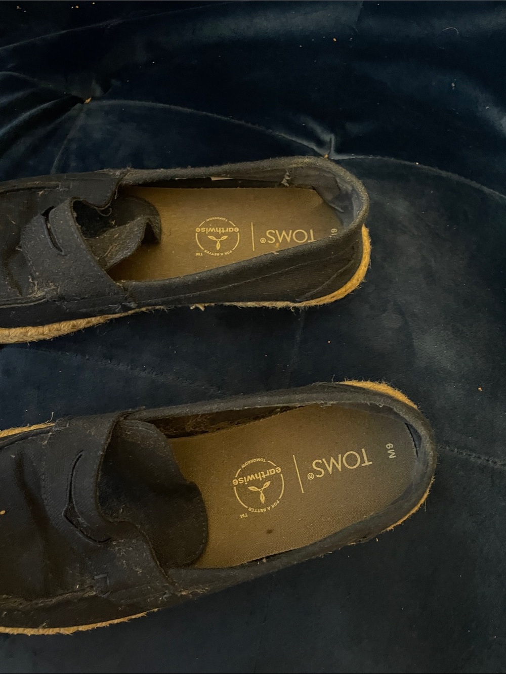 Toms Men's Navy Canvas Slip-On Loafers